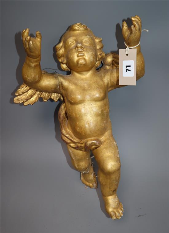 A carved giltwood and gesso cherub, H.43cm